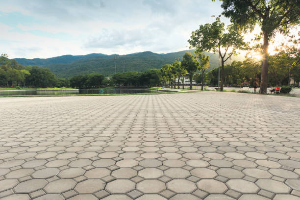 Best Professional Driveway Pavers  in Holtville, CA