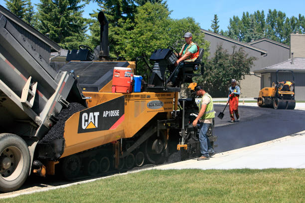 Best Custom Driveway Pavers  in Holtville, CA